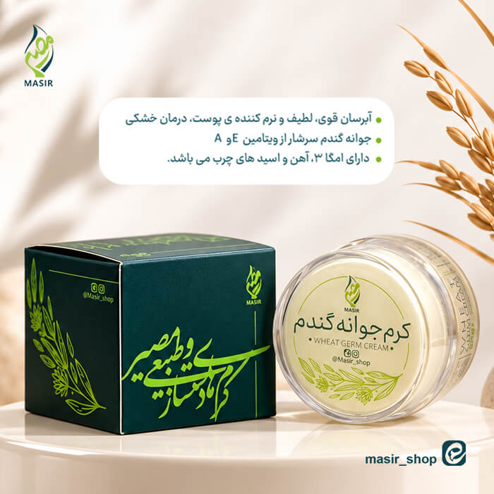 عکس کرم جوانه  مصیر گندم